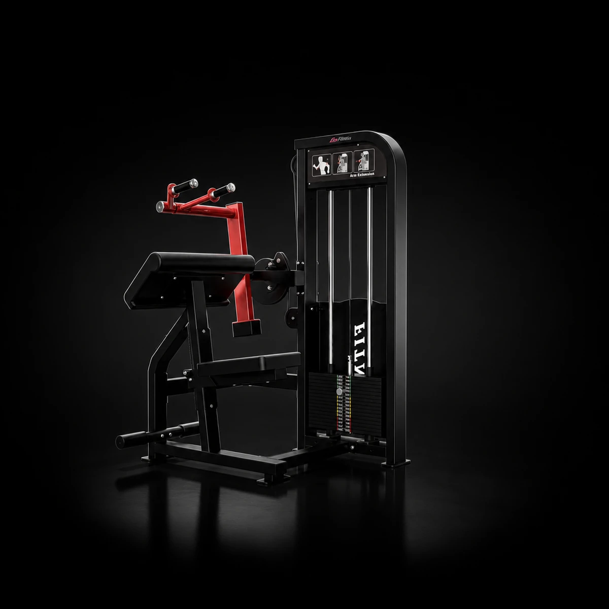 Triceps Extension